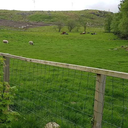 One-room Without Shower